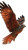 Fiery Red Kite Vinyl Car Decal Sticker – Waterproof & UV-Resistant 8"