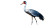 Wattled Crane Portrait Vinyl Car Decal Sticker – Waterproof & UV-Resistant 8"