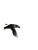 Atlantic Puffin Flight Vinyl Car Decal Sticker – Waterproof & UV-Resistant 8"