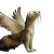 Angel Weasel Vinyl Car Decal Sticker – Waterproof & UV-Resistant 8"