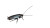 Dirty Cockroach Close-Up Vinyl Car Decal Sticker – Waterproof & UV-Resistant 8"