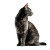 Gray Cat Profile Vinyl Car Decal Sticker – Waterproof & UV-Resistant 8"