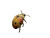 Lady Bug Macro Vinyl Car Decal Sticker – Waterproof & UV-Resistant 8"