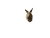 Easter Rabbit Jump Vinyl Car Decal Sticker – Waterproof & UV-Resistant 8"