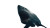 Giant Shark Emerges Vinyl Car Decal Sticker – Waterproof & UV-Resistant 8"