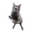 Scared Jumping Cat Vinyl Car Decal Sticker – Waterproof & UV-Resistant 8"