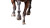 Stomping Horse Hooves Vinyl Car Decal Sticker – Waterproof & UV-Resistant 8"