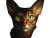 Mystical Abyssinian Vinyl Car Decal Sticker – Waterproof & UV-Resistant 8"