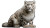 Cute Snow Leopard Vinyl Car Decal Sticker – Waterproof & UV-Resistant 8"