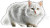 White Cat V2 Vinyl Car Decal Sticker – Waterproof & UV-Resistant 8"