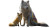 Rainbow Wolf Fox Vinyl Car Decal Sticker – Waterproof & UV-Resistant 8"