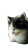Sleeping Fat Cat Vinyl Car Decal Sticker – Waterproof & UV-Resistant 8"