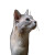 A Cat V17 Vinyl Car Decal Sticker – Waterproof & UV-Resistant 8"