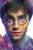 Harry Blotter Portrait Vinyl Car Decal Sticker – Waterproof & UV-Resistant 8"