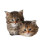 Norwegian Forest Kittens Vinyl Car Decal Sticker – Waterproof & UV-Resistant 8"