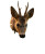 Roe Deer Buck Vinyl Car Decal Sticker – Waterproof & UV-Resistant 8"