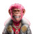 Versace Monkey Vinyl Car Decal Sticker – Waterproof & UV-Resistant 8"