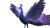Glowing White Peacock Vinyl Car Decal Sticker – Waterproof & UV-Resistant 8"