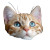 Cute Cat V16 Vinyl Car Decal Sticker – Waterproof & UV-Resistant 8"