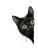 Playful Black Cat V4 Vinyl Car Decal Sticker – Waterproof & UV-Resistant 8"