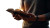 Hands Holding Bible Vinyl Car Decal Sticker – Waterproof & UV-Resistant 8"