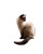 Siamese Cat In Pagoda Vinyl Car Decal Sticker – Waterproof & UV-Resistant 8"