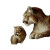 Mountain Lion Art Vinyl Car Decal Sticker – Waterproof & UV-Resistant 8"