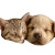 Cuddled Kitten And Puppy Vinyl Car Decal Sticker – Waterproof & UV-Resistant 8"