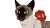 Neurotic Siamese Cat Vinyl Car Decal Sticker – Waterproof & UV-Resistant 8"