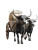 Oxen Pulling Cart Vinyl Car Decal Sticker – Waterproof & UV-Resistant 8"