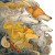 Divine Fox Painting Vinyl Car Decal Sticker – Waterproof & UV-Resistant 8"