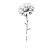 Simple Daisy Drawing Vinyl Car Decal Sticker – Waterproof & UV-Resistant 8"