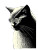 Bauhaus Cat Spectacles Vinyl Car Decal Sticker – Waterproof & UV-Resistant 8"