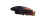 Tardigrades Spaceship V2 Vinyl Car Decal Sticker – Waterproof & UV-Resistant 8"