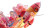 Cotton Candy Rocket Plume Vinyl Car Decal Sticker – Waterproof & UV-Resistant 8"