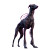 Cyborg Greyhound Cyberpunk Vinyl Car Decal Sticker – Waterproof & UV-Resistant 8"