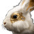 Golden Biomechanical Rabbit Vinyl Car Decal Sticker – Waterproof & UV-Resistant 8"