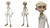 Laika Clay Puppet Vinyl Car Decal Sticker – Waterproof & UV-Resistant 8"