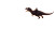 Barbarian On Allosaurus Vinyl Car Decal Sticker – Waterproof & UV-Resistant 8"