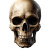Realistic Skull V14 Vinyl Car Decal Sticker – Waterproof & UV-Resistant 8"