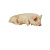 Sleeping Pig V2 Vinyl Car Decal Sticker – Waterproof & UV-Resistant 8"