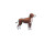 Game Character Dog Vinyl Car Decal Sticker – Waterproof & UV-Resistant 8"