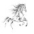 Picasso'S Egyptian Horse Vinyl Car Decal Sticker – Waterproof & UV-Resistant 8"