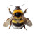 Fluffy Bumblebee Vinyl Car Decal Sticker – Waterproof & UV-Resistant 8"