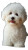 Bichon Frise Puppy Vinyl Car Decal Sticker – Waterproof & UV-Resistant 8"