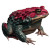 Mythological Hybrid Frog Vinyl Car Decal Sticker – Waterproof & UV-Resistant 8"