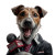 Dog News Anchor Vinyl Car Decal Sticker – Waterproof & UV-Resistant 8"