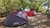 Sleep Comfortably Under the Stars with AirBedz Tent | Pop-Up Ground Tent | Open Canopy