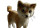 Pixar Shiba Inu Vinyl Car Decal Sticker – Waterproof & UV-Resistant 8"