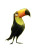 Cute Rainy Toucan Vinyl Car Decal Sticker – Waterproof & UV-Resistant 8"